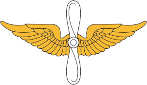 PJ Dermer Military Badge US Army Aviation Insignia PJ Dermer Military Badge US Army Aviation Insignia