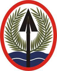 PJ Dermer Military Badge PJ Dermer Military Badge