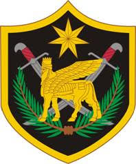PJ Dermer Military Badge PJ Dermer Military Badge